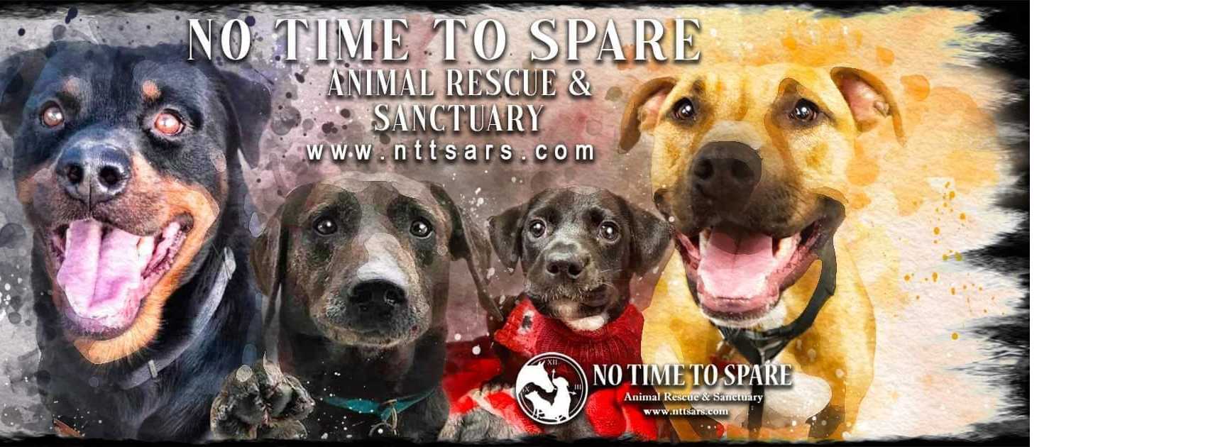 No Time to Spare Animal Rescue and Sanctuary